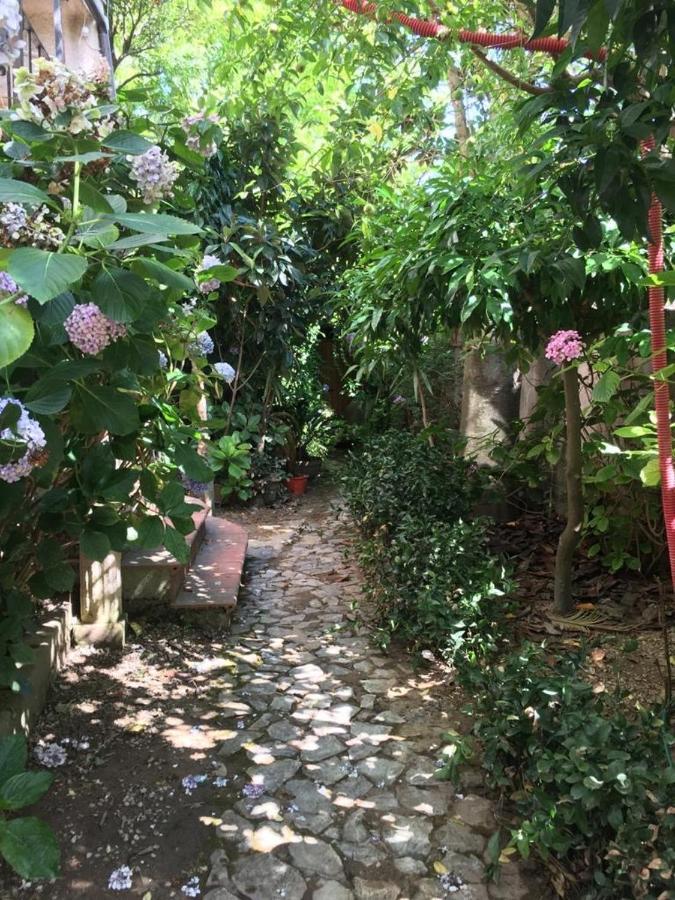B&B Le Casette SantʼOnofrio エクステリア 写真
